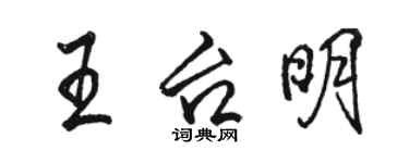 骆恒光王台明行书个性签名怎么写