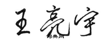 骆恒光王亮宇行书个性签名怎么写