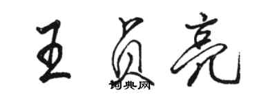 骆恒光王贞亮行书个性签名怎么写