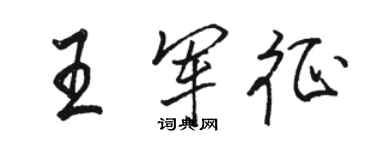 骆恒光王军征行书个性签名怎么写