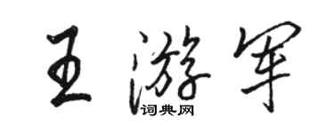 骆恒光王游军行书个性签名怎么写