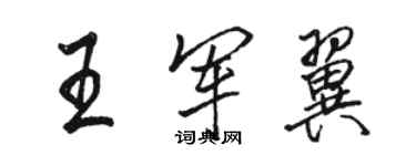 骆恒光王军翼行书个性签名怎么写