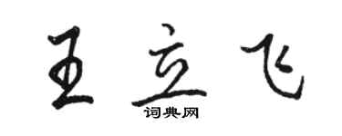 骆恒光王立飞行书个性签名怎么写