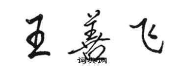 骆恒光王善飞行书个性签名怎么写
