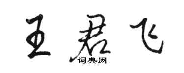 骆恒光王君飞行书个性签名怎么写