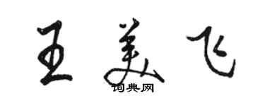 骆恒光王美飞行书个性签名怎么写
