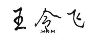 骆恒光王令飞行书个性签名怎么写