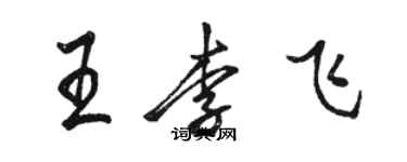 骆恒光王李飞行书个性签名怎么写
