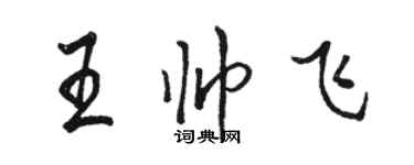 骆恒光王帅飞行书个性签名怎么写