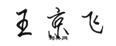 骆恒光王京飞行书个性签名怎么写