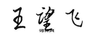骆恒光王望飞行书个性签名怎么写