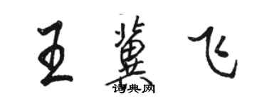骆恒光王冀飞行书个性签名怎么写