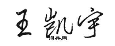 骆恒光王凯宇行书个性签名怎么写
