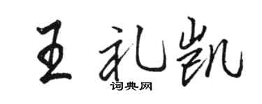 骆恒光王礼凯行书个性签名怎么写