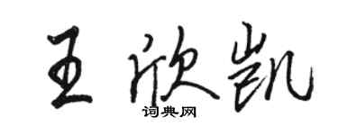 骆恒光王欣凯行书个性签名怎么写