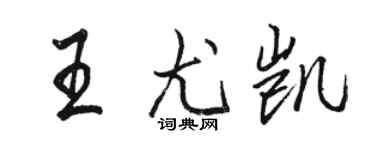 骆恒光王尤凯行书个性签名怎么写