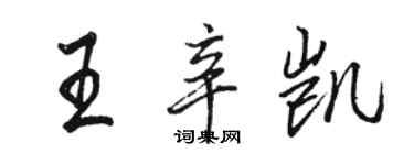 骆恒光王辛凯行书个性签名怎么写