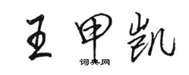 骆恒光王甲凯行书个性签名怎么写