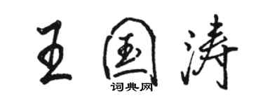 骆恒光王国涛行书个性签名怎么写