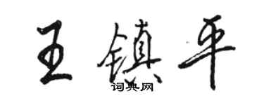 骆恒光王镇平行书个性签名怎么写