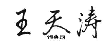 骆恒光王天涛行书个性签名怎么写