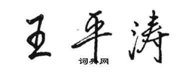 骆恒光王平涛行书个性签名怎么写