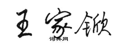 骆恒光王家锨行书个性签名怎么写