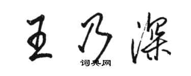 骆恒光王乃深行书个性签名怎么写