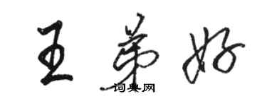 骆恒光王弟好行书个性签名怎么写