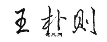 骆恒光王朴则行书个性签名怎么写