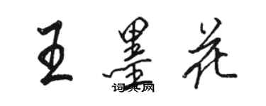 骆恒光王墨花行书个性签名怎么写