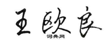 骆恒光王欧良行书个性签名怎么写