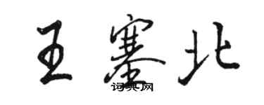 骆恒光王塞北行书个性签名怎么写
