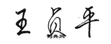 骆恒光王贞平行书个性签名怎么写