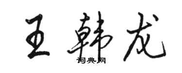 骆恒光王韩龙行书个性签名怎么写