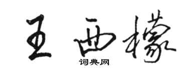 骆恒光王西檬行书个性签名怎么写