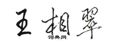 骆恒光王相翠行书个性签名怎么写