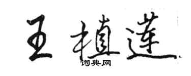 骆恒光王植莲行书个性签名怎么写