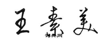 骆恒光王素美行书个性签名怎么写