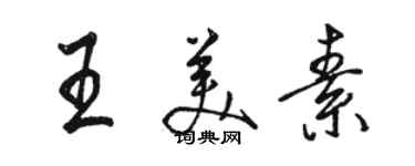 骆恒光王美素行书个性签名怎么写