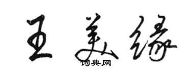 骆恒光王美缘行书个性签名怎么写