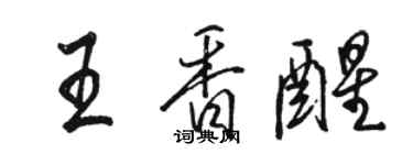 骆恒光王香醒行书个性签名怎么写