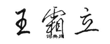 骆恒光王霜立行书个性签名怎么写