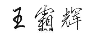 骆恒光王霜辉行书个性签名怎么写