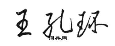 骆恒光王孔环行书个性签名怎么写