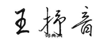 骆恒光王抒音行书个性签名怎么写