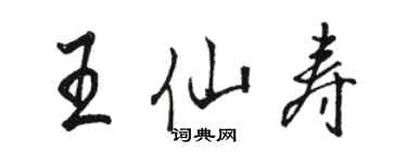 骆恒光王仙寿行书个性签名怎么写