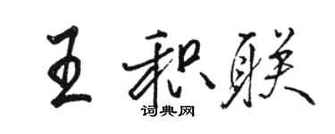 骆恒光王积联行书个性签名怎么写
