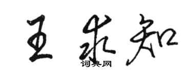 骆恒光王求知行书个性签名怎么写