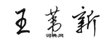 骆恒光王苇新行书个性签名怎么写